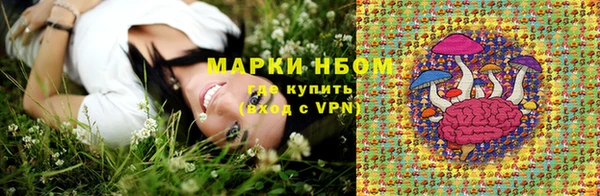 хмурый Вяземский