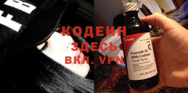 хмурый Вяземский