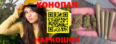 Альфа ПВП Канаш