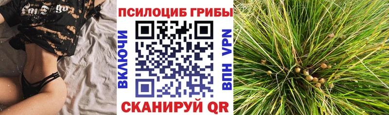 Псилоцибиновые грибы ЛСД  Можайск 