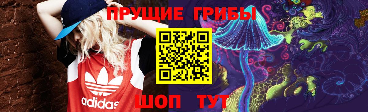 Можайск  Псилоцибиновые грибы мухоморы  Вход с VPN 