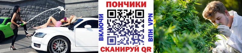 где продают   Можайск  Марихуана планчик 
